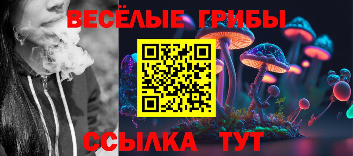 Зима  Псилоцибиновые грибы Psilocybe  Псилоцибиновые грибы ЛСД  Вход с VPN 