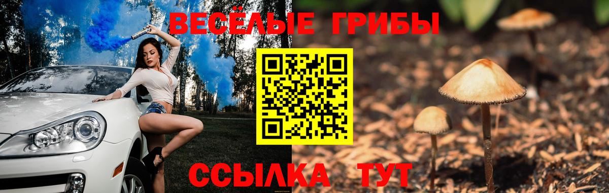 Псилоцибиновые грибы мухоморы Зима