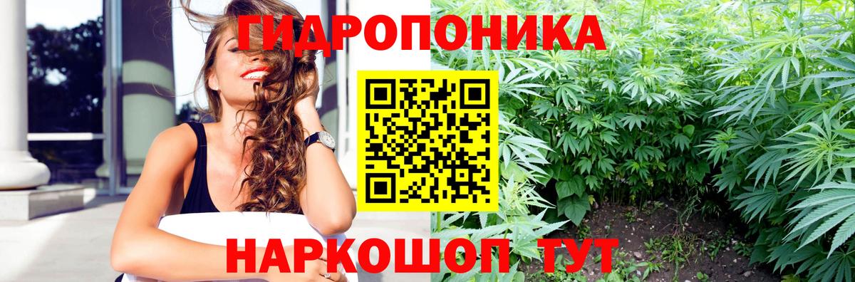 Бошки Шишки LSD WEED Зима